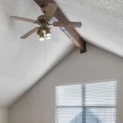 Ceiling fan