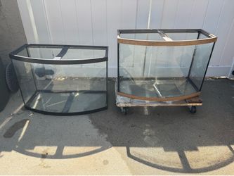 Fish tank aquarium