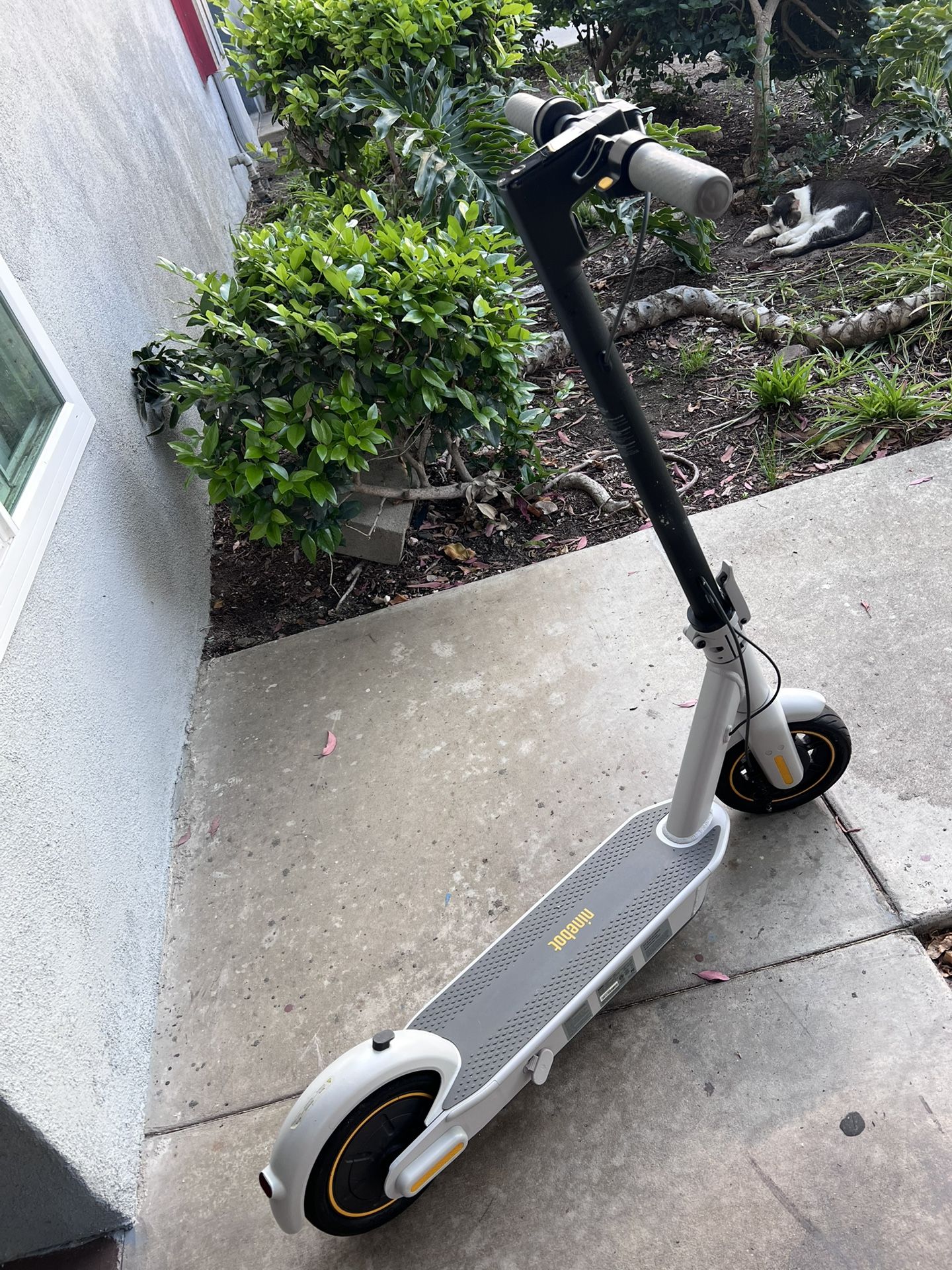 Electric Scooter Adult