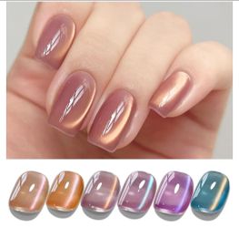 Double Rhythm 6 Colors Cat Eye Gel Polish Set Shimmer Glitter with Magnet