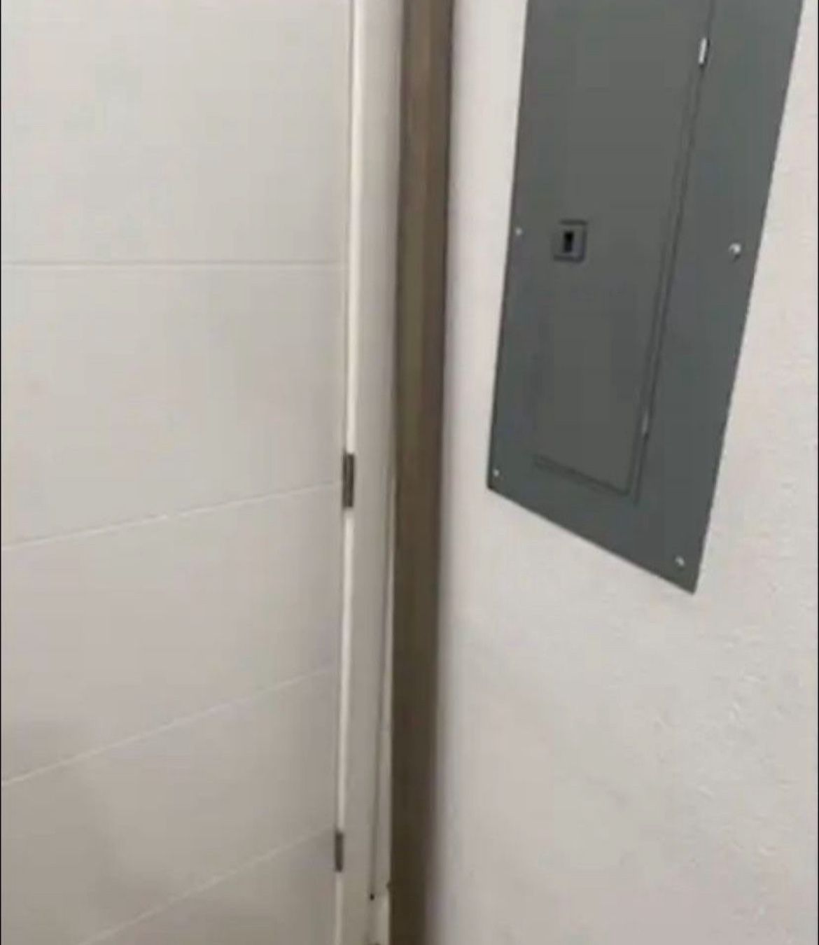 Projector Screen