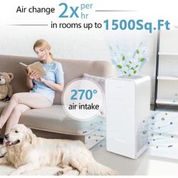 New Air Purifier For Large Room