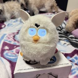 Furby 