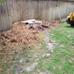 Stump Grinding.