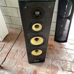 Audio File Home Speaker Only 1