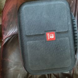 Nintendo Bag