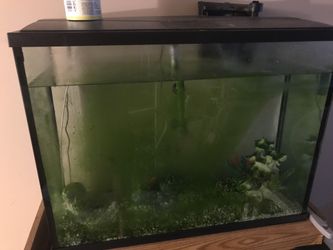 40 Gal Aquarium