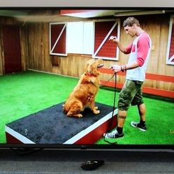 LG 43-Inch Smart-TV