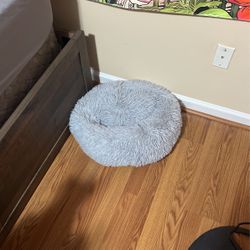 Cat Or Dog Bed