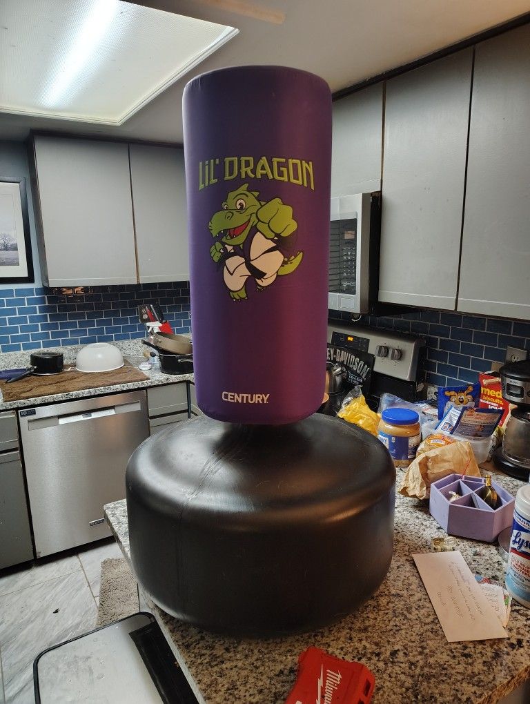Kids Punching Bag