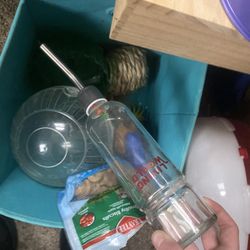 Hamster Supplies 