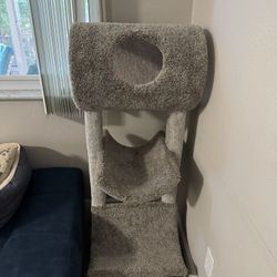 Pending Pick up  Cat Post