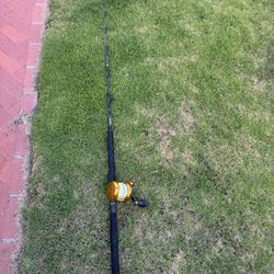 International 16 VSX paired with Seeker Roller Rod