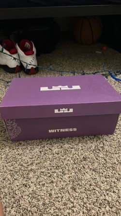 LeBron witness 8s