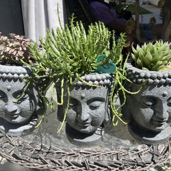 Succulent Head Planters