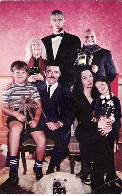 THE ADDAMS FAMILY PICTURE