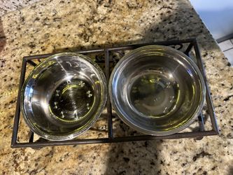 Platos Para Perro Chico