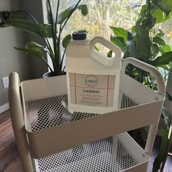 Gamblin Gamsol Mineral Spirits - Nearly A Gallon