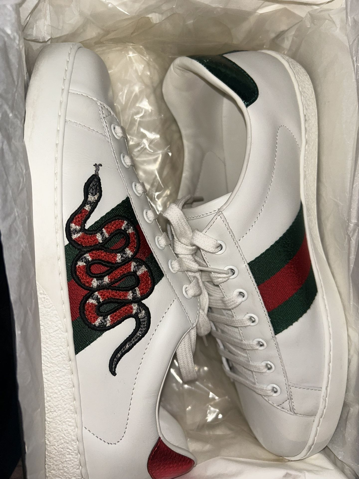 Gucci Snake Aces 🔴🟢