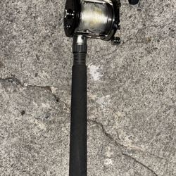 seeker rod with reel