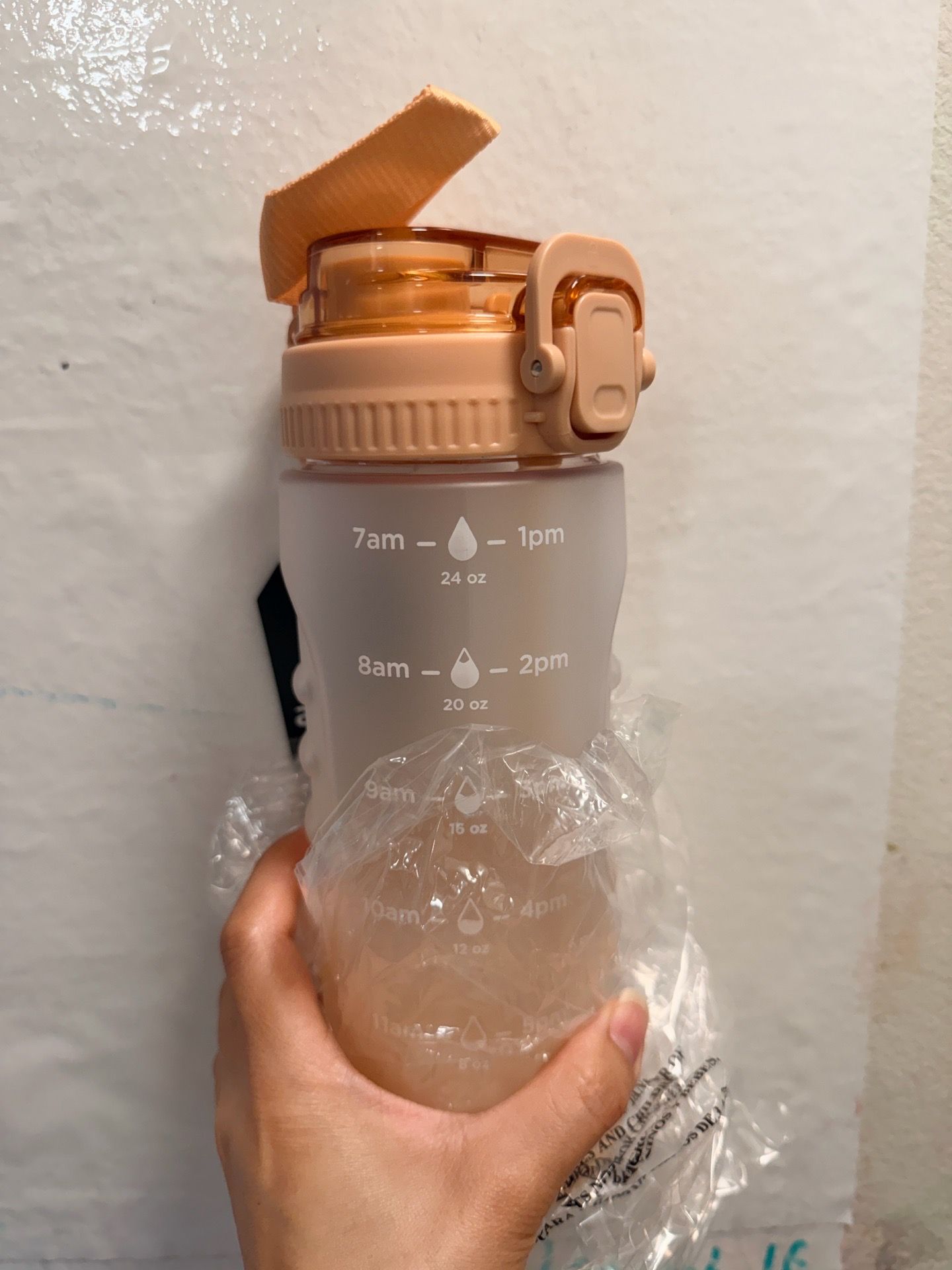 aquafit 24oz Nude Water Bottle with Time Markers and Straw
