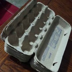 egg cartons 
