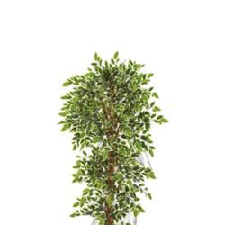 Nearly Natural 5 ft. Indoor Elegant Ficus Artificial Tree