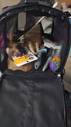 Small cat carrier and accessories. All $20