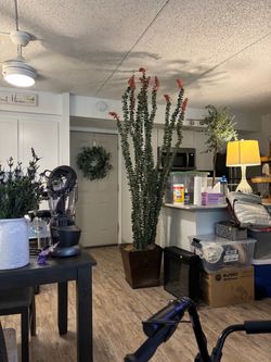 Artificial Ocotillo