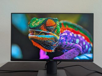 New Dell P Series 23-Inch FHD 1080p Screen LED-lit Monitor (P2319H),Black - Professional Monitor