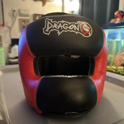 MMA Headgear 