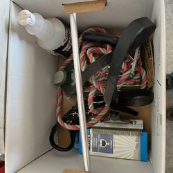 Feeder calf Supplies For Fair