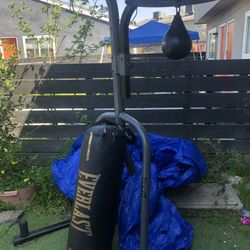 Boxing Bag 