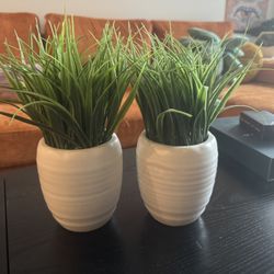 Matching Fake Plants 