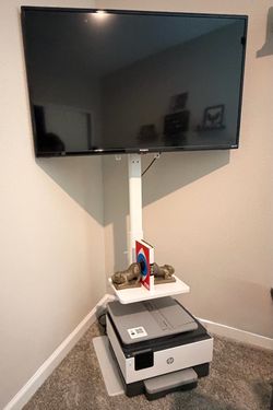 43” Roku TV And Floor Stand