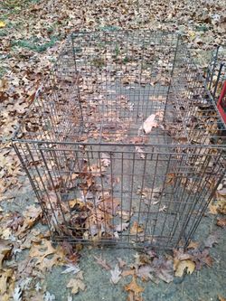 Large Dog Cage
