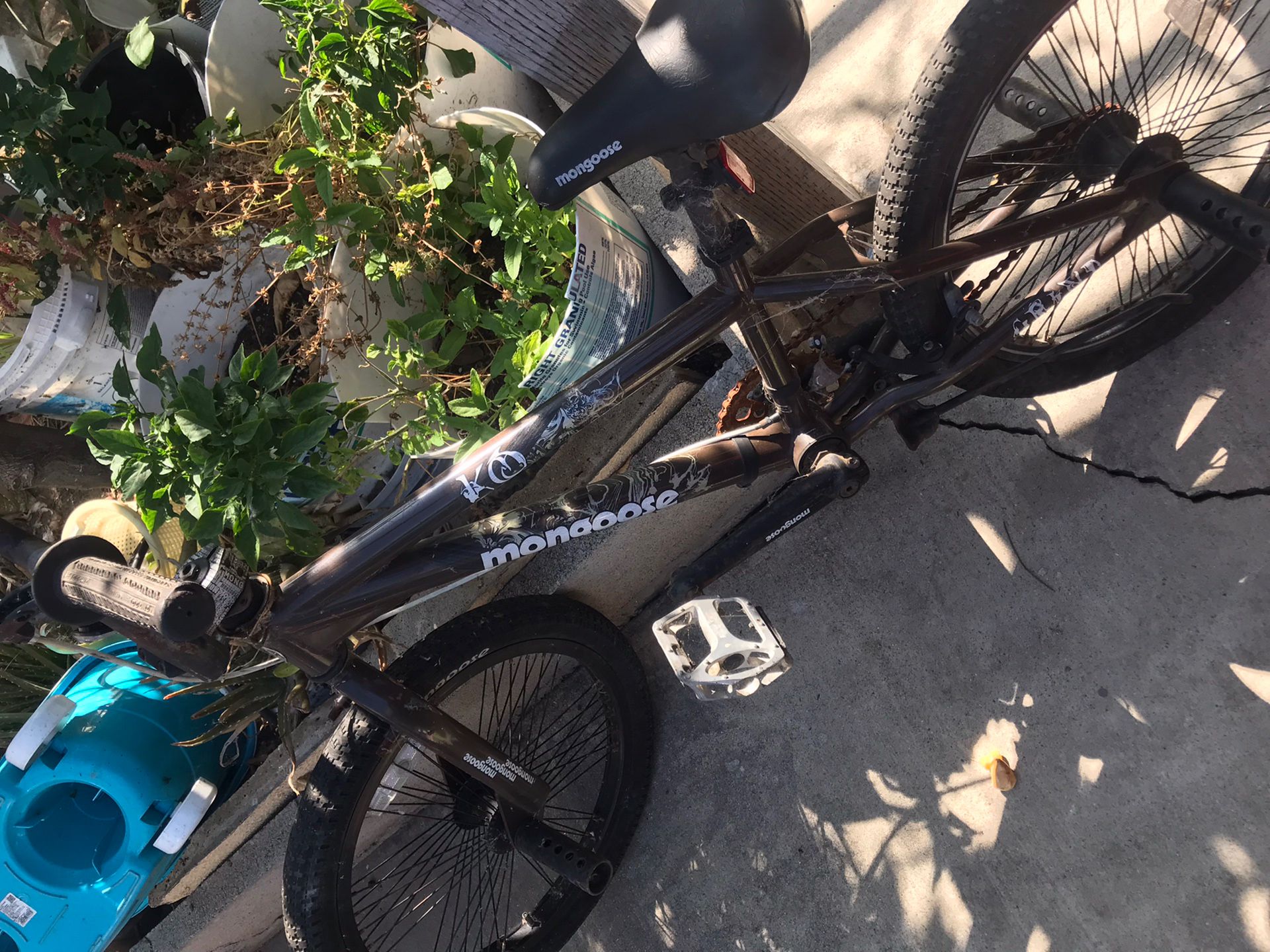 Bmx Bike Moose