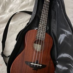 Mahogany Ukulele with Case