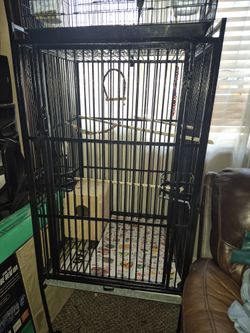 Parrot Cage