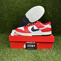 Nike Dunk Low Split Chicago