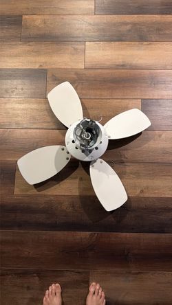 Monte carlo ceiling fan