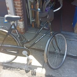 Holland cruiser cheap bike