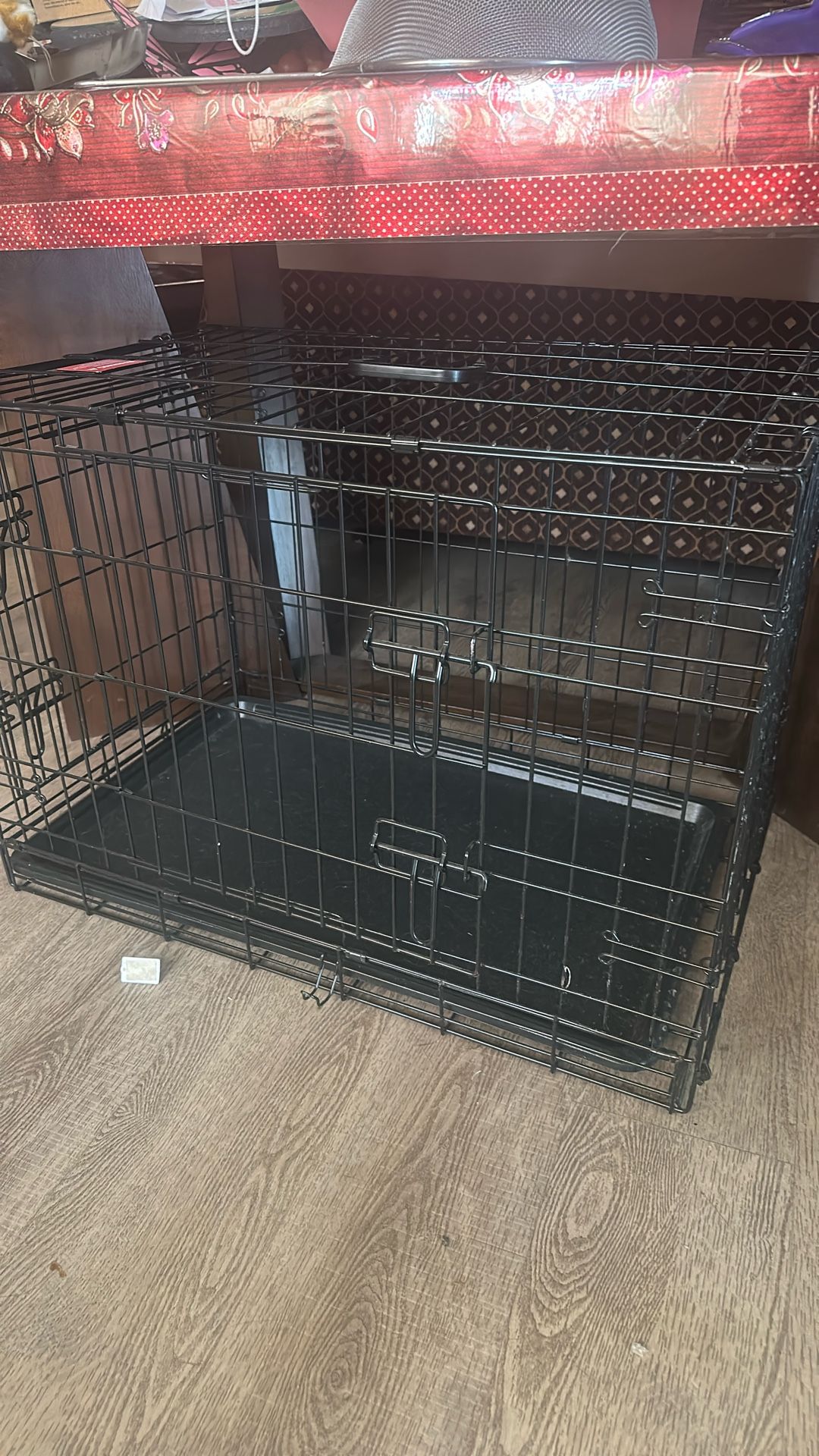 Dog House