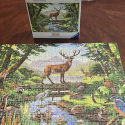 300 Piece Puzzle 