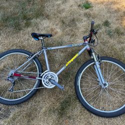 Litespeed Mountain Bike Titanium 