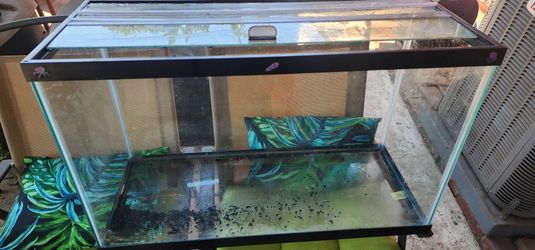 29 GAL Tank With Glass Top