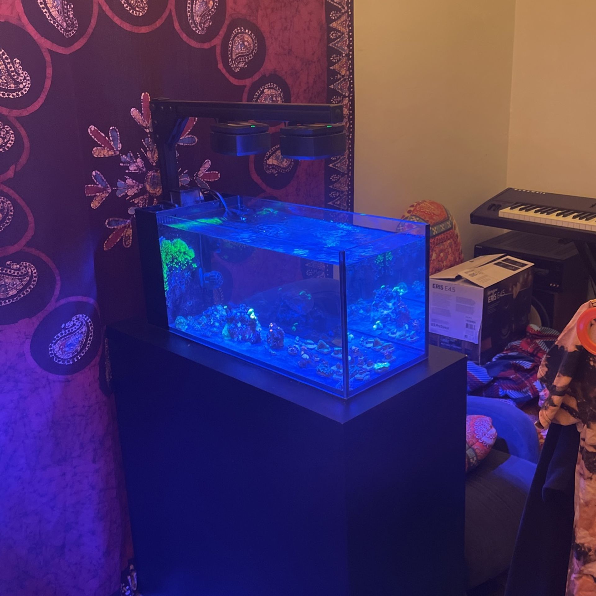 Complete Innovative Marine 20g Aquarium Fish Tank