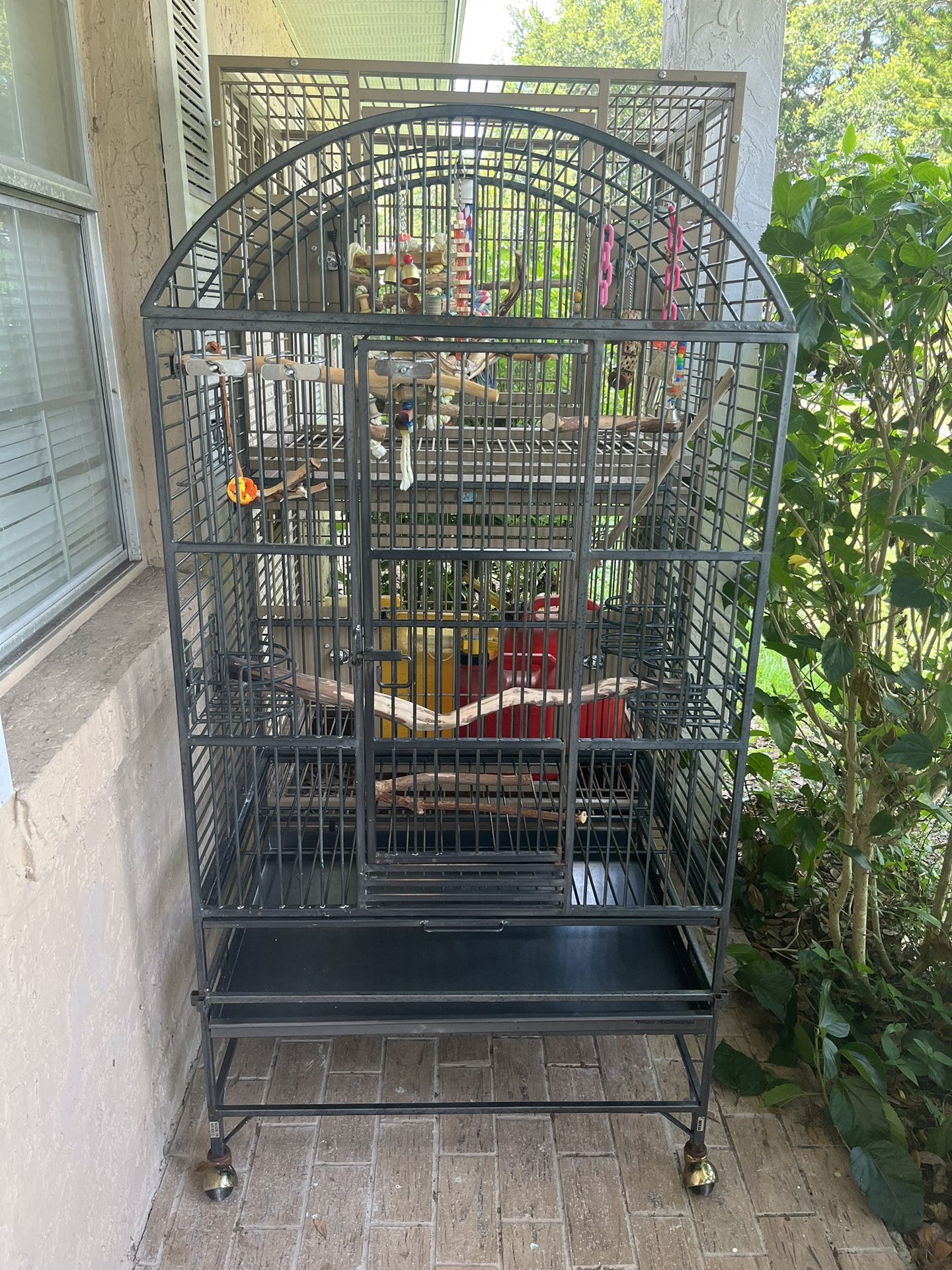 Parrot Cage