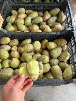 Tunas solo hoy $20 la caja 35 Libras solo hoy