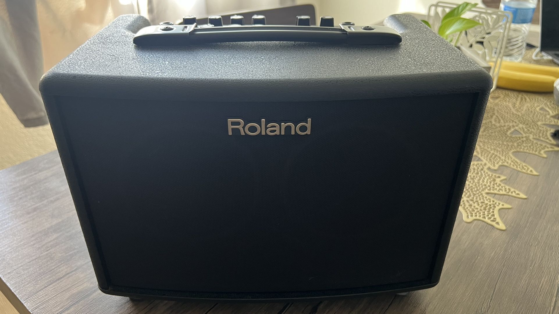Roland AC-33 Acoustic Chorus Amp